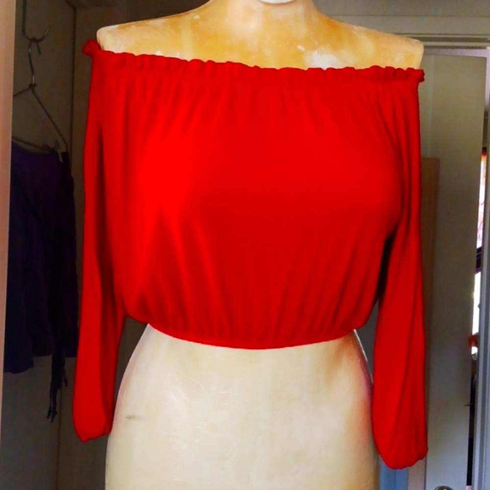 Pins and Needles red cropped long sleeve top sm